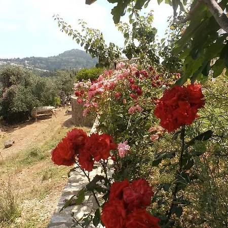 Linda House Corfu Apartment