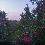 Linda House Corfu Διαμέρισμα *