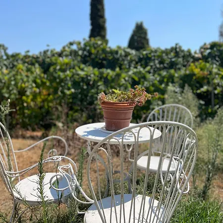 公寓 Linda House Corfu