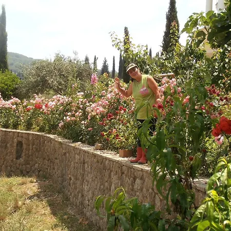 Linda House Corfu Apartament Gastouri (Corfu)