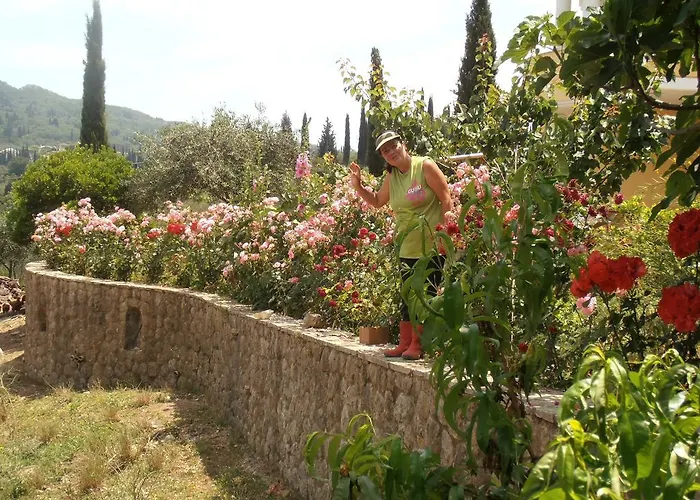 Linda House Corfu アパート Gastouri (Corfu)
