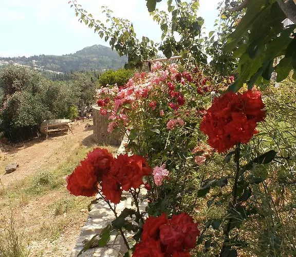 Linda House Corfu アパート